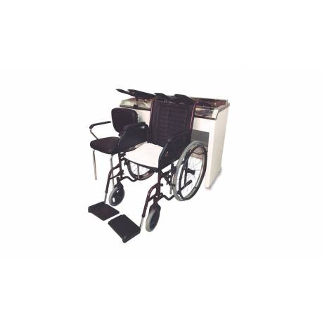 Fersan Lavacabeza Para Sillas De Ruedas Y Residencias 2 Servicio Ref.5430.2 Fersan Lavacabeza Para Sillas De Ruedas Y Residencias 2 Servicio Ref.5430.2