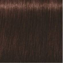 Schwarzkopf Igora Royal  4.68 Castaño Medio Marron Rojo