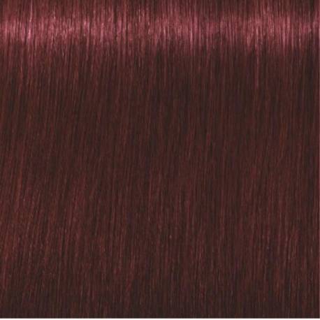 Schwarzkopf Igora Royal  4.88 Castaño Medio Rojo Intenso