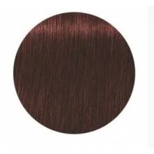 Schwarzkopf Igora Royal  5.80 Absolutes Castaño Claro Rojo Natural