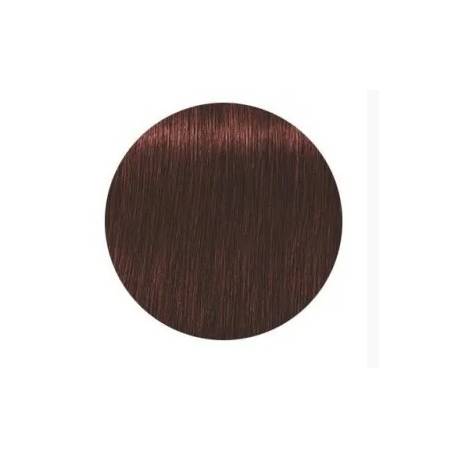 Schwarzkopf Igora Royal  5.80 Absolutes Castaño Claro Rojo Natural