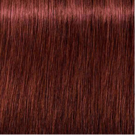 Schwarzkopf Igora Royal  5.99 Castaño Claro Violeta Intenso