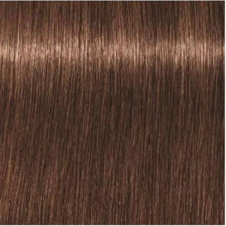 Schwarzkopf Igora Royal  6. 6 Rubio Oscuro Chocolate