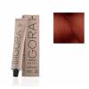 Schwarzkopf Igora Royal  6.80 Absolutes Rubio Oscuro Rojo Natural