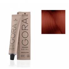 Schwarzkopf Igora Royal  6.80 Absolutes Rubio Oscuro Rojo Natural