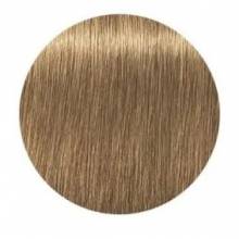 Schwarzkopf Igora Royal  8.50 Absolutes Rubio Claro Dorado Natural