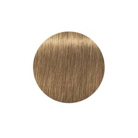 Schwarzkopf Igora Royal  8.50 Absolutes Rubio Claro Dorado Natural