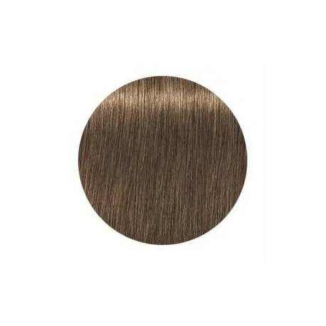 Schwarzkopf Igora Royal  7.50 Absolutes Rubio Medio Dorado Natural