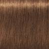 Schwarzkopf Igora Royal  7.55 Rubio Medio Dorado Intenso