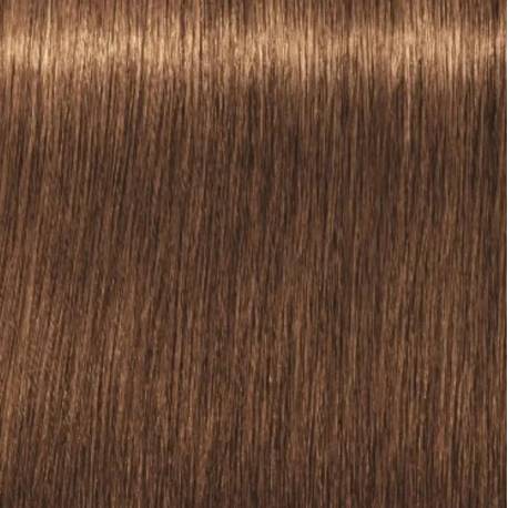 Schwarzkopf Igora Royal  7.55 Rubio Medio Dorado Intenso