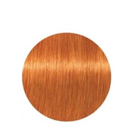 Schwarzkopf Igora Color Expert Mousse 8.77 Rubio Claro Cobre Intenso 100 Ml. Ref. 2802560 Schwarzkopf Igora Color Expert Mousse 8.77 Rubio Claro Cobre Intenso 100 Ml. Ref. 2802560