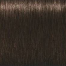 Schwarzkopf Igora Royal  3.65 Castaño Oscuro Marron Dorado