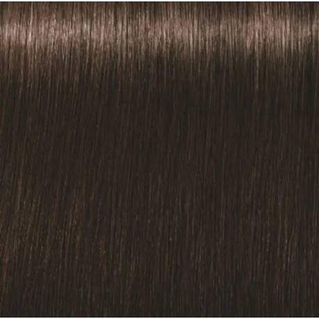 Schwarzkopf Igora Royal  3.65 Castaño Oscuro Marron Dorado