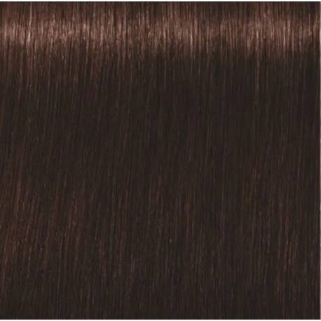 Schwarzkopf Igora Royal  3.68 Castaño Oscuro Marron Rojo