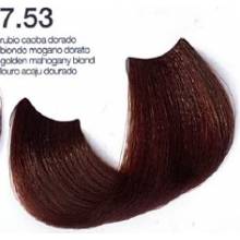 Exclusive Passion Y Color     7.53  Rubio Caoba Dorado   100 Ml. Ref. 11040