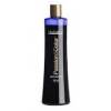 Exclusive Passion Y Color Champu Silver  250 Ml. Ref. 11109