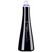 Exclusive Passion Y Color Champu Silver 1000 Ml. Ref. 11203