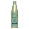 Salerm 21     250 Ml. Ref. 5737