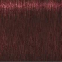 Schwarzkopf Igora Royal  4.88 Castaño Medio Rojo Intenso