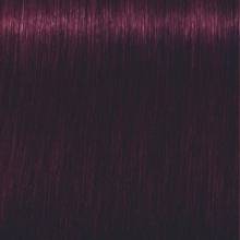 Schwarzkopf Igora Royal  4.99 Castaño Medio Violeta Intenso