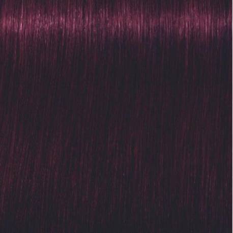 Schwarzkopf Igora Royal  4.99 Castaño Medio Violeta Intenso