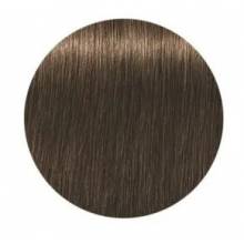 Schwarzkopf Igora Royal  5.50 Absolutes Castaño Claro Dorado Natural