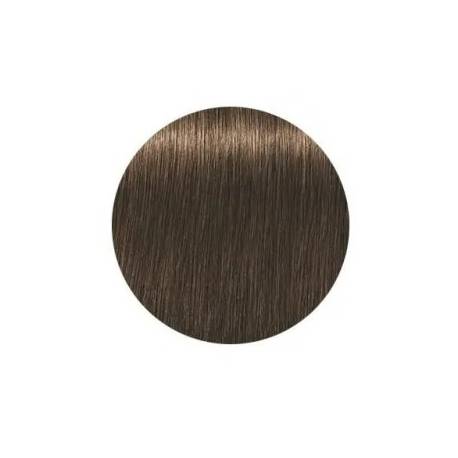 Schwarzkopf Igora Royal  5.50 Absolutes Castaño Claro Dorado Natural