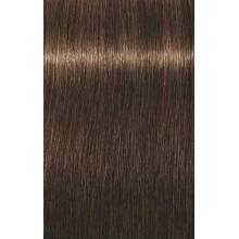 Schwarzkopf Igora Royal  5.65 Castaño Claro Marron Dorado
