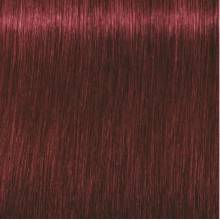 Schwarzkopf Igora Royal  5.88 Castaño Claro Rojo Intenso