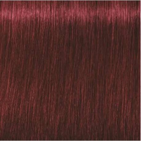 Schwarzkopf Igora Royal  5.88 Castaño Claro Rojo Intenso
